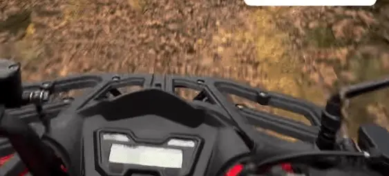 Riding an ATV on a Belgrade Forest track