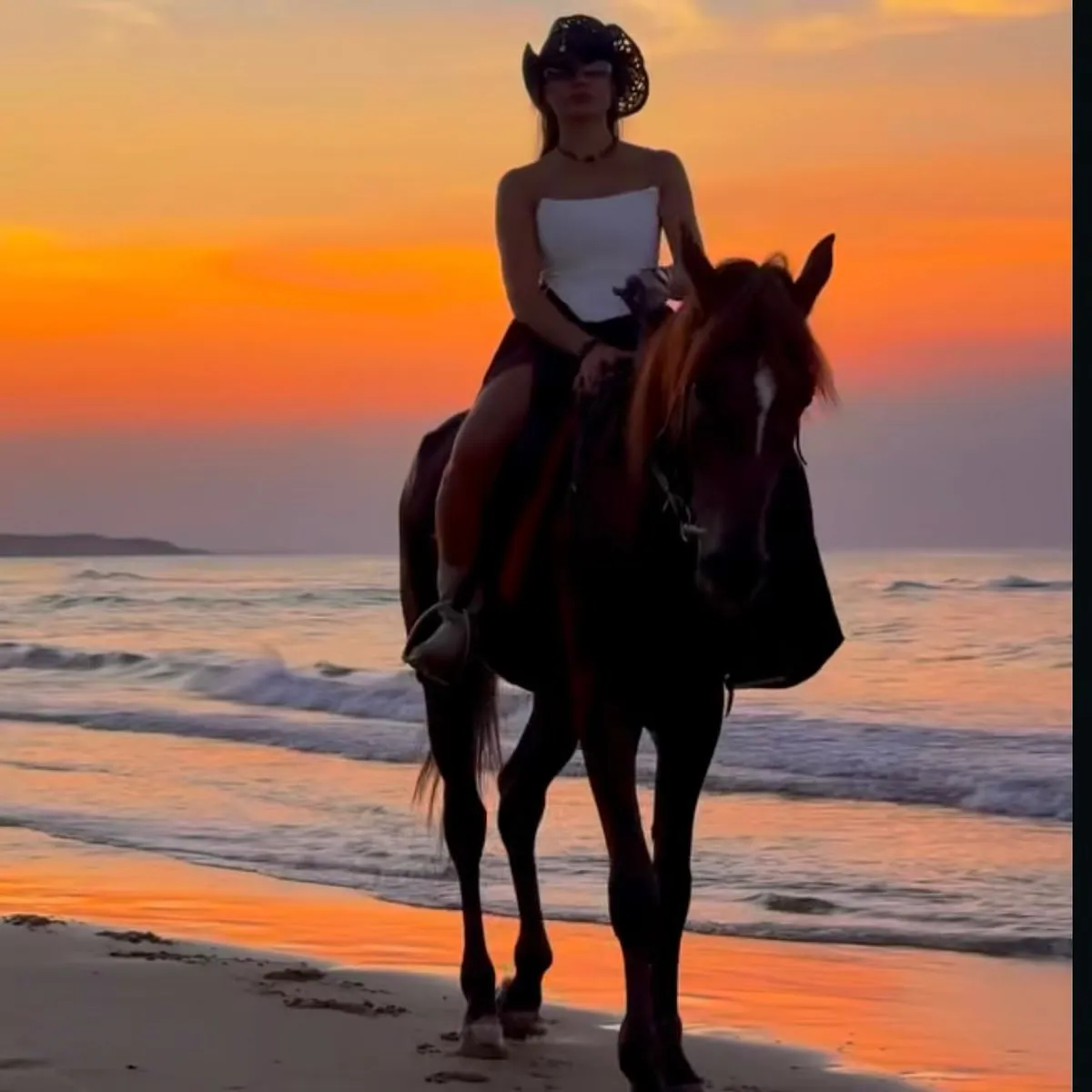 Rider on a horse on the beach at sunset