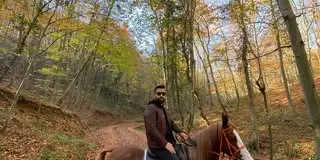 Sonbahar ormanında doru atla binici