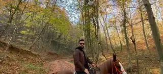 Rider on a chestnut horse in an autumn forest