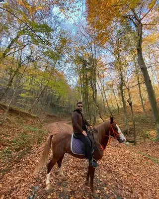 Sonbahar ormanında doru atla binici